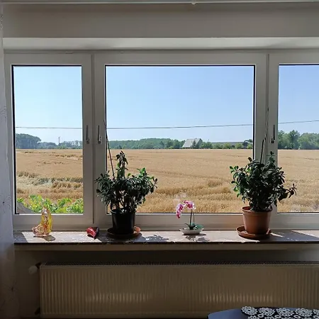 Lovely In With Separate Entrance Appartement Oelde