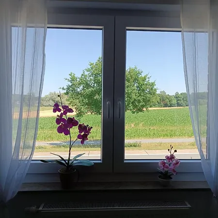 Lovely In With Separate Entrance Appartement *